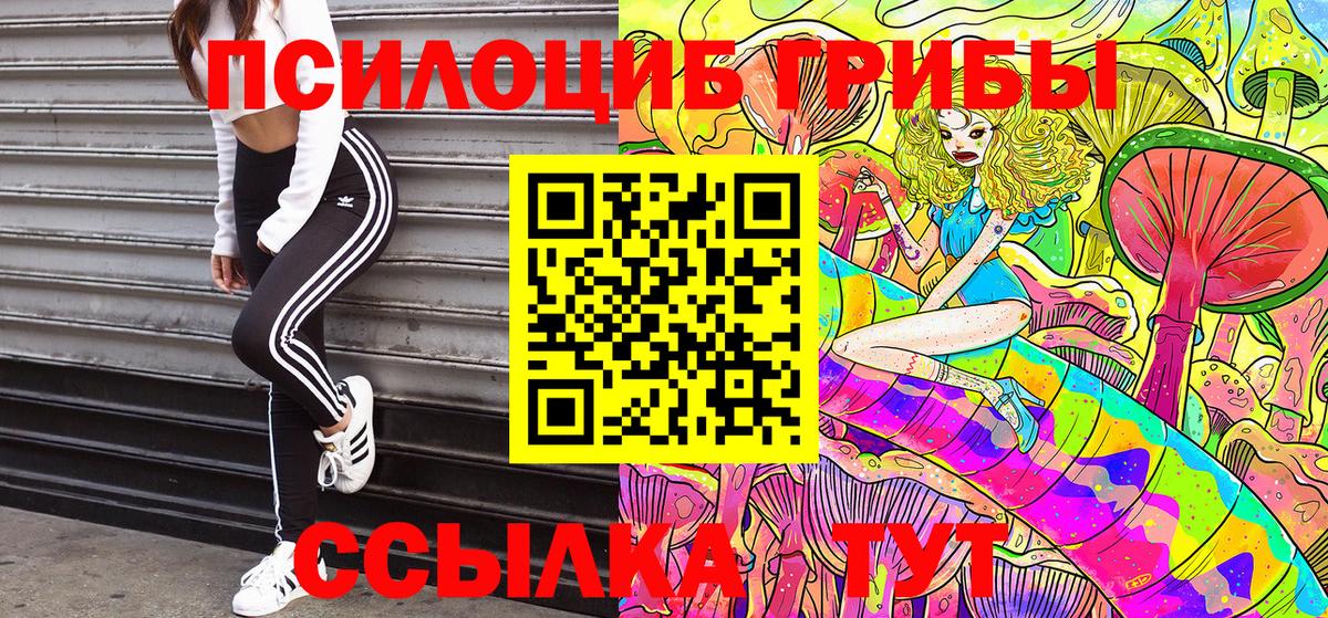 Псилоцибиновые грибы мицелий Советская Гавань