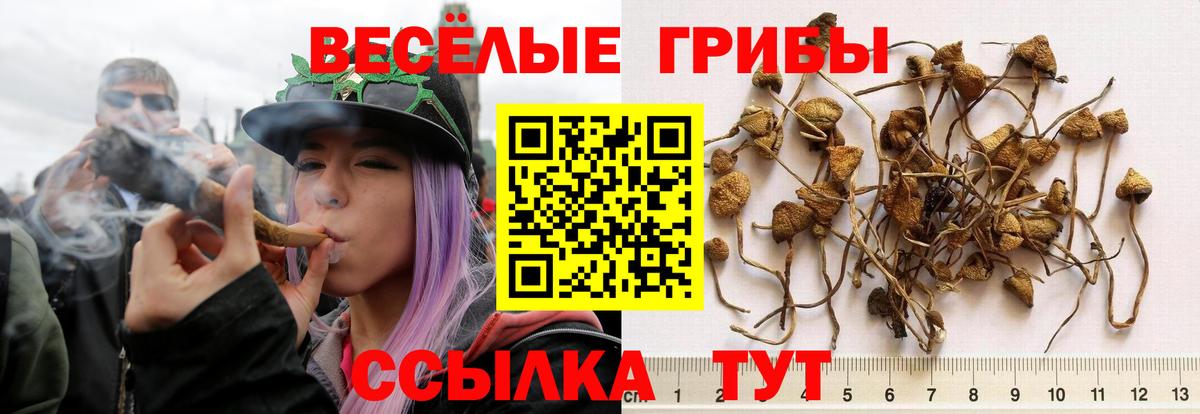 Галлюциногенные грибы ЛСД  Вход с VPN  Псилоцибиновые грибы MAGIC MUSHROOMS  Советская Гавань 